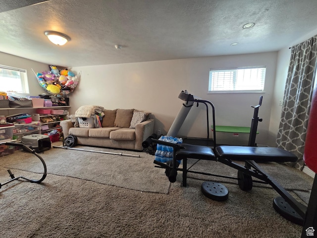 614 W Anderson Ave S, Murray, UT 84123 - carpeted living area with a textured ceiling