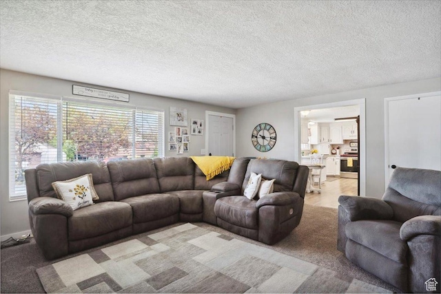2884 N 300 E, North Ogden, UT 84414 - living room featuring a textured ceiling