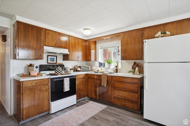 2884 N 300 E, North Ogden, UT 84414 - kitchen with freestanding refrigerator, range with electric cooktop, under cabinet range hood, and brown cabinetry