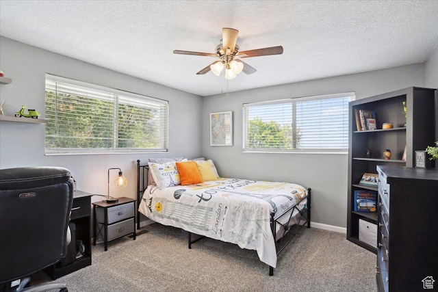 2884 N 300 E, North Ogden, UT 84414 - bedroom featuring multiple windows, carpet, a textured ceiling, and ceiling fan