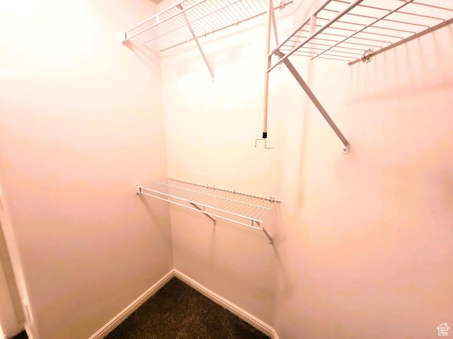 186 S 1900 W Unit R2, Lehi, UT 84043 - spacious closet featuring carpet