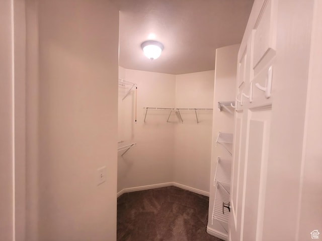 186 S 1900 W Unit R2, Lehi, UT 84043 - spacious closet featuring dark colored carpet