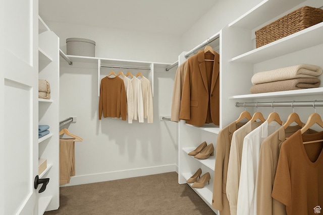 1765 W 650 S, Marriott Slaterville, UT 84404 - spacious closet featuring carpet flooring