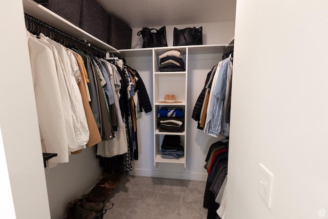 walk in closet featuring carpet flooring