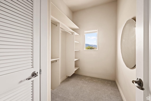 spacious closet with carpet floors