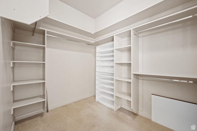 walk in closet with carpet floors