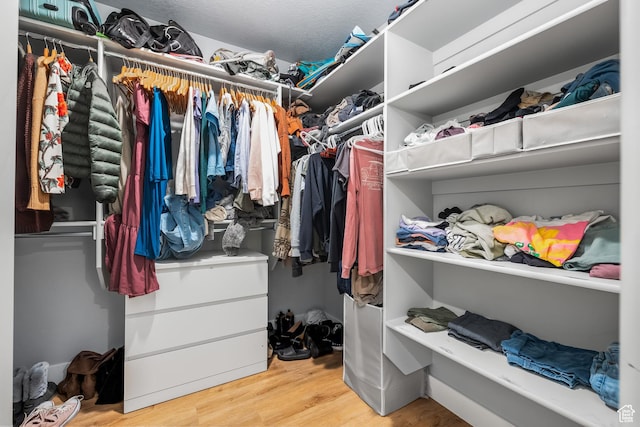 spacious closet featuring wood finished floors