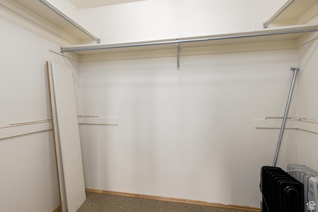 walk in closet with radiator heating unit and carpet floors