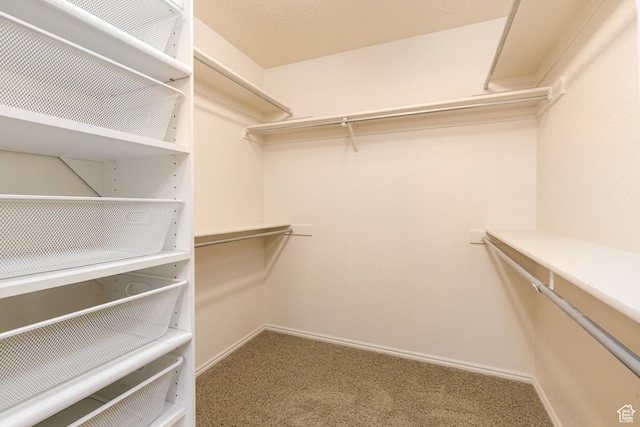 spacious closet with carpet