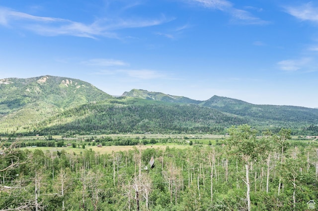 view of mountain backdrop