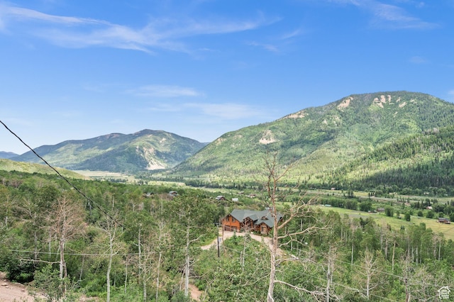 mountain view