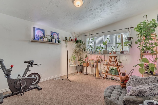 exercise area featuring carpet and a textured ceiling