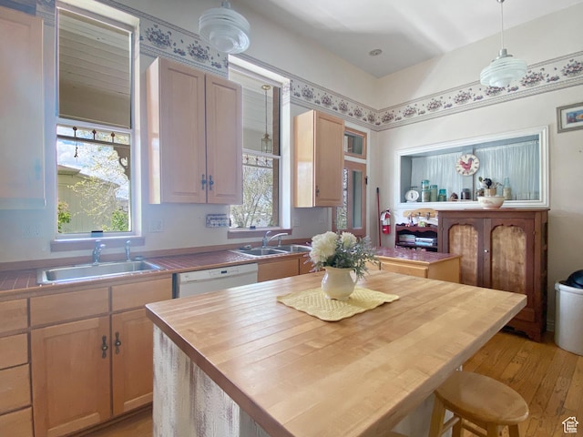 244 S Main St W, Ephraim, UT 84627 - kitchen with a sink, white dishwasher, wood counters, and light wood finished floors