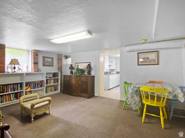 244 S Main St W, Ephraim, UT 84627 - living area with a textured ceiling and carpet floors