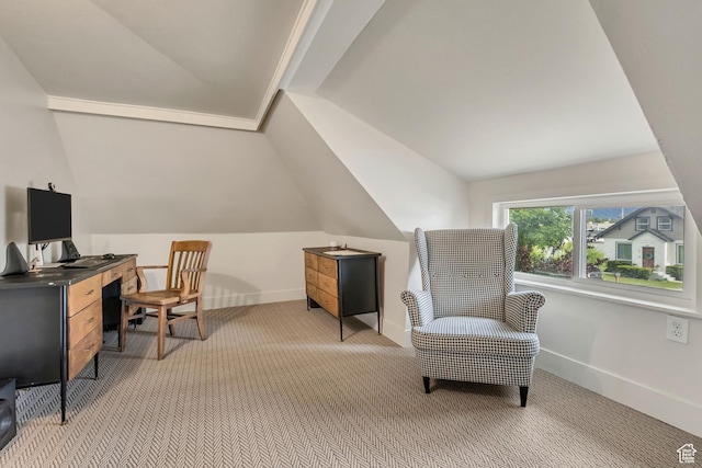 21 E Angelo Ave S, South Salt Lake, UT 84115 - office space with vaulted ceiling, light carpet, and baseboards