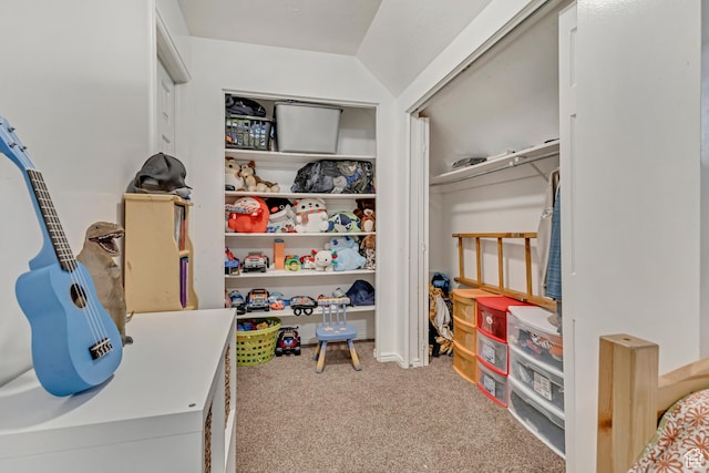 1343 S 200 E, Farmington, UT 84025 - spacious closet with carpet