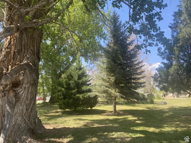 50 S 400 E, Myton, UT 84052 - view of green lawn
