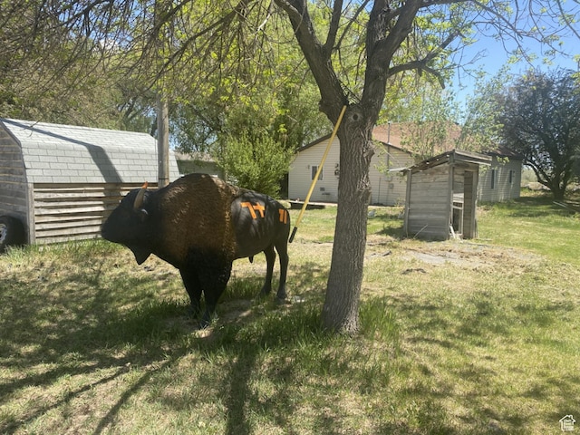 50 S 400 E, Myton, UT 84052 - view of grassy yard