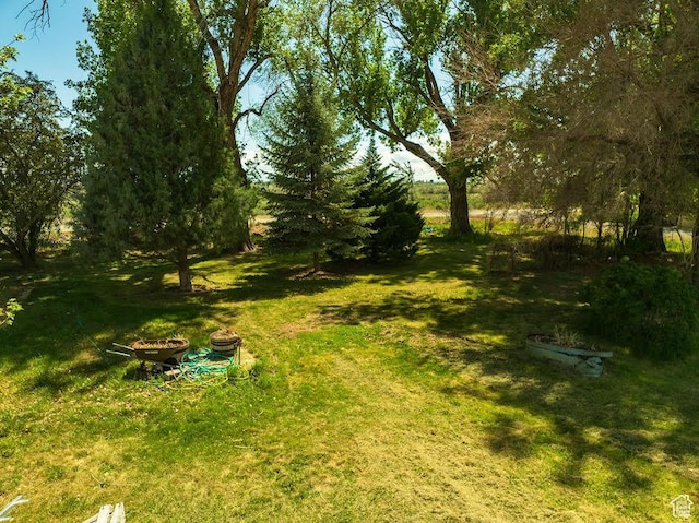 50 S 400 E, Myton, UT 84052 - view of green lawn