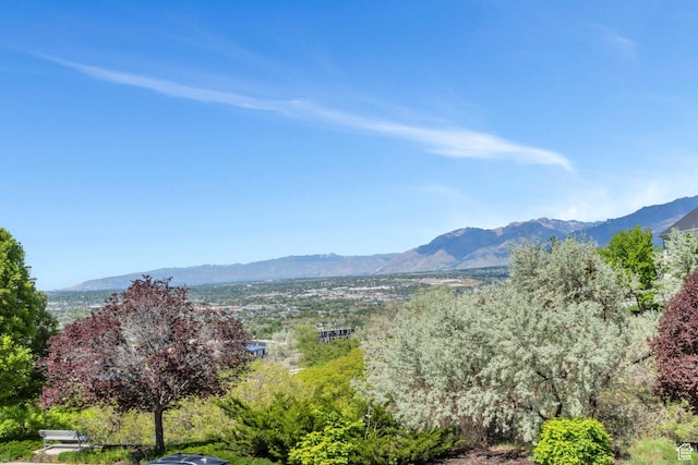 mountain view