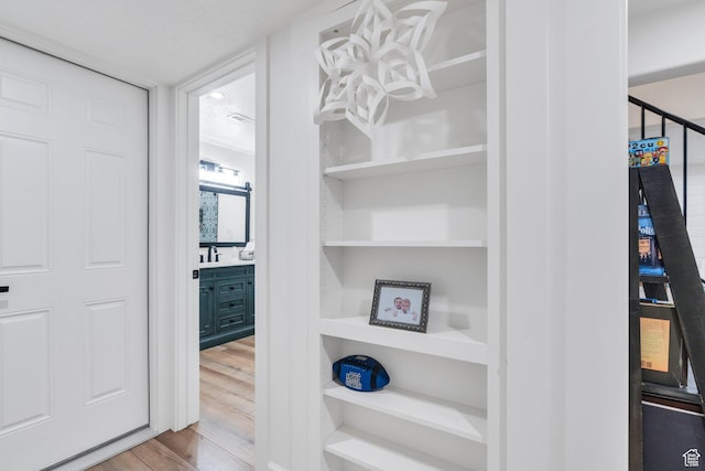 walk in closet with wood finished floors and a sink