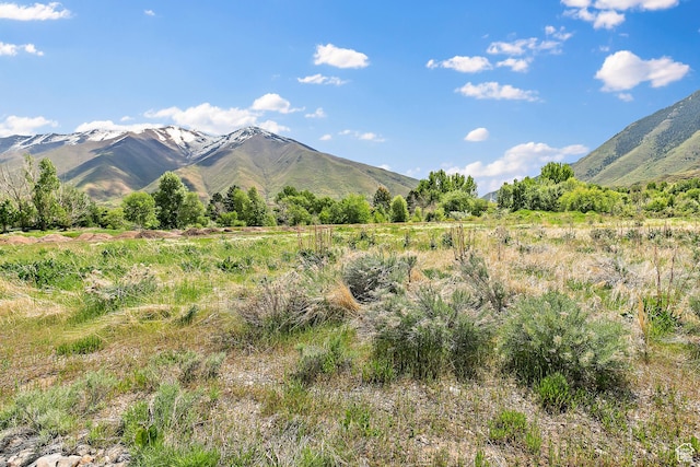 3123 E Canyon Glen Loop S, Spanish Fork, UT 84660 - mountain view