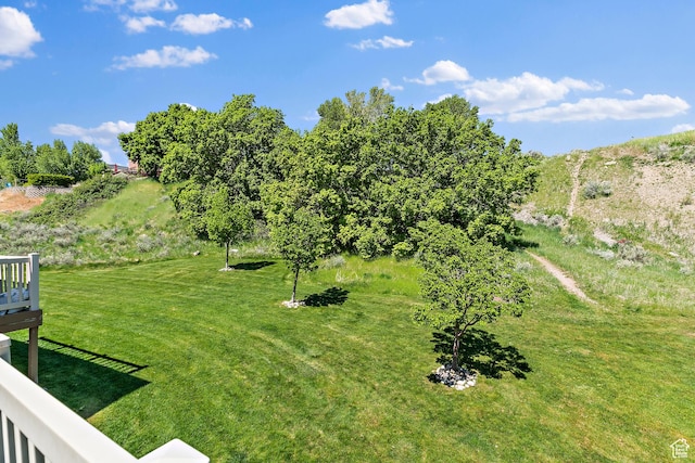 3123 E Canyon Glen Loop S, Spanish Fork, UT 84660 - view of green lawn