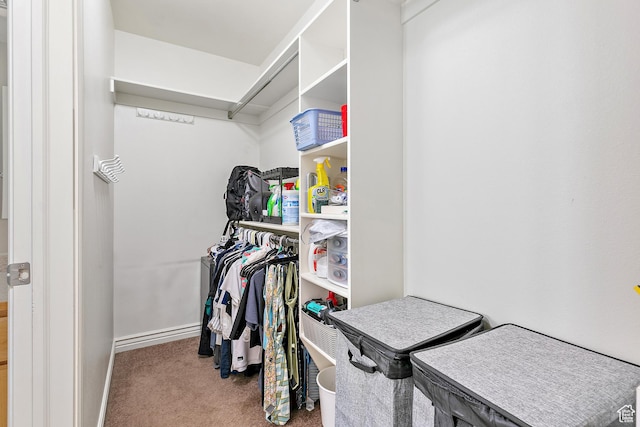 3123 E Canyon Glen Loop S, Spanish Fork, UT 84660 - spacious closet with carpet floors