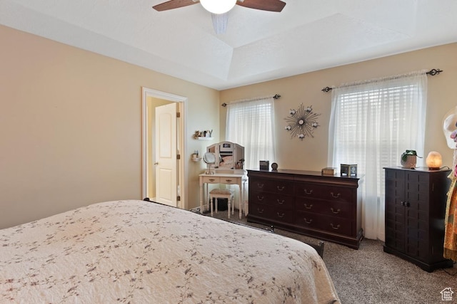 1768 N 200 W, North Ogden, UT 84414 - bedroom with carpet floors, a tray ceiling, and a ceiling fan