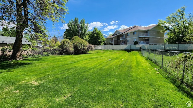 view of yard