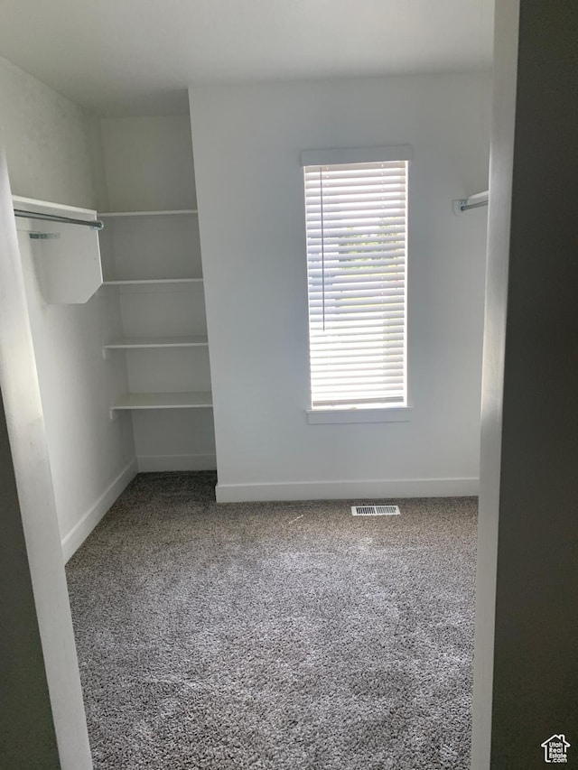 walk in closet featuring carpet flooring