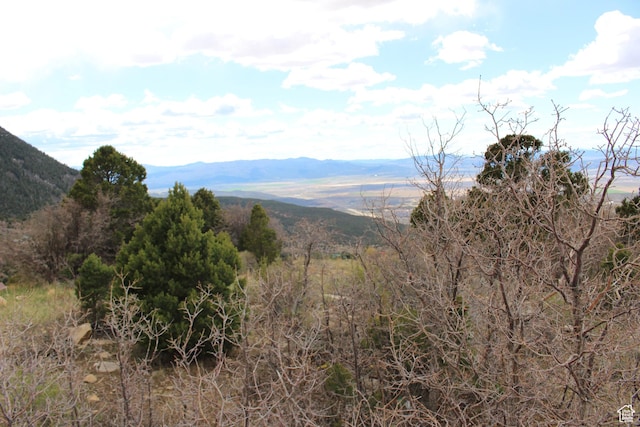 1133 E High Mountain View Cir, Cedar City, UT 84720