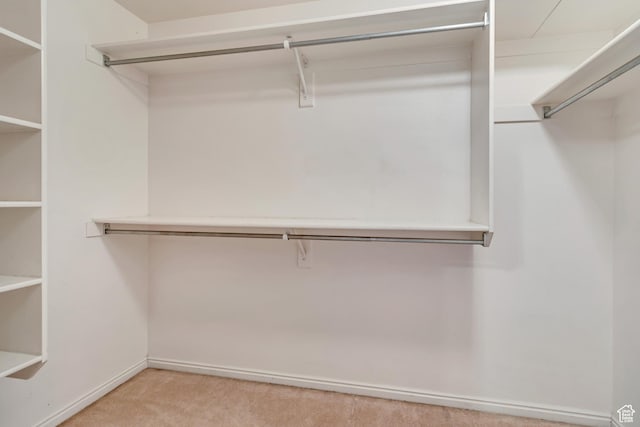 spacious closet with light colored carpet
