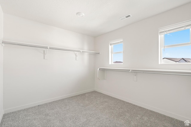 3523 N Browning St Unit 1233, Eagle Mountain, UT 84005 - walk in closet with carpet