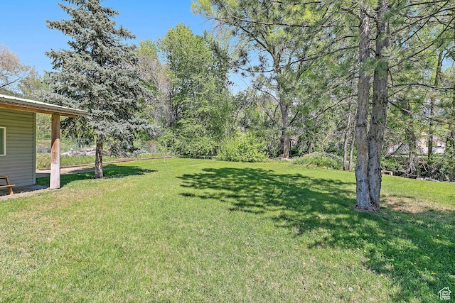 view of grassy yard