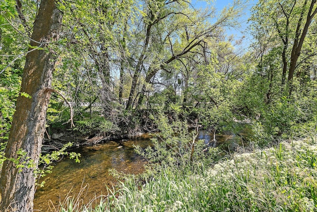 view of nature
