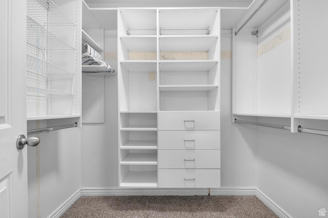 walk in closet featuring carpet floors