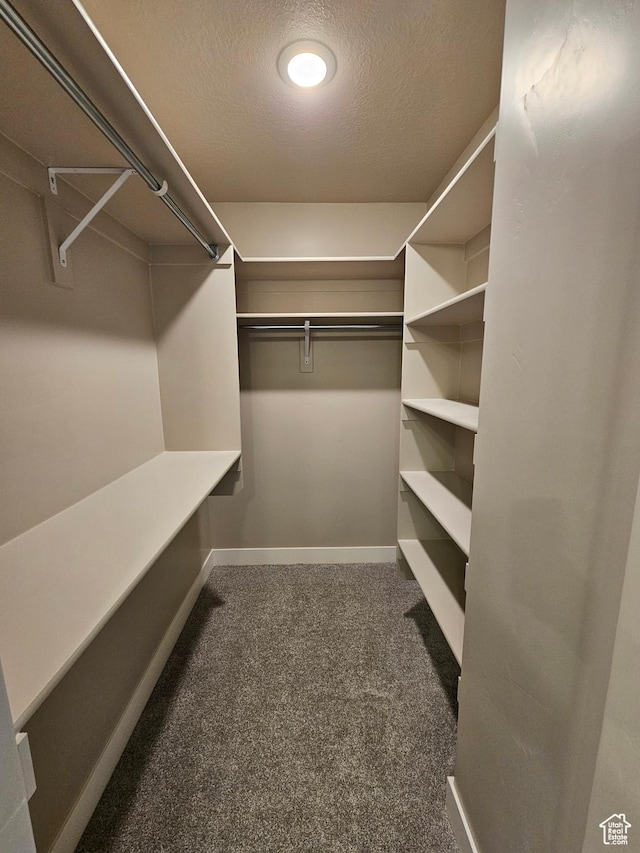 542 N 1400 W Lot 29, Springville, UT 84663 - spacious closet with carpet floors