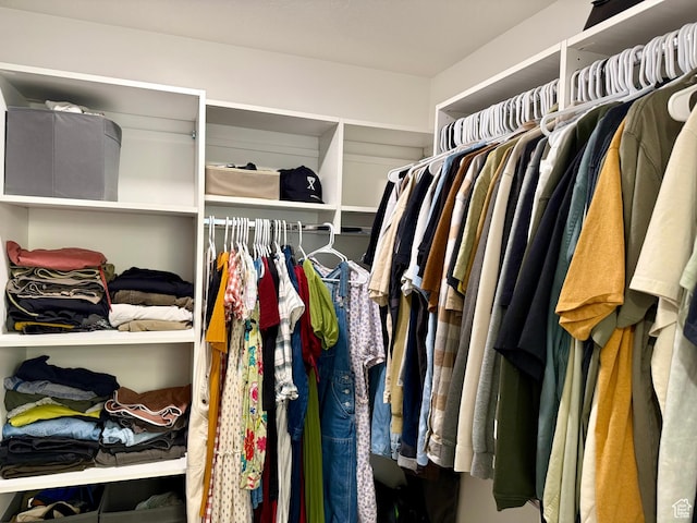 167 E Craner Peak Dr, Eagle Mountain, UT 84005 - view of spacious closet