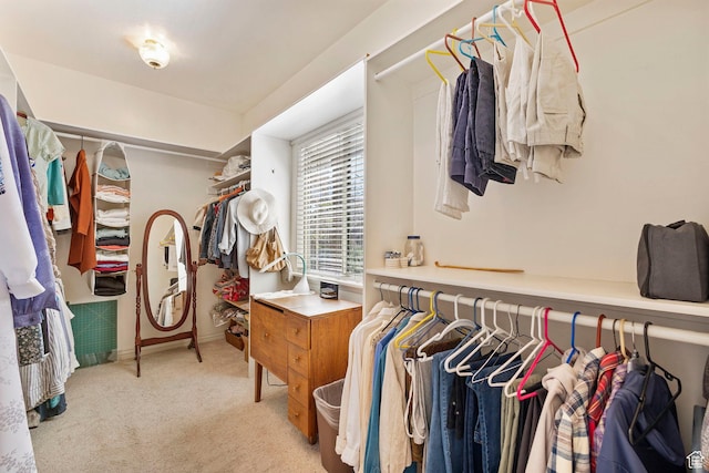 walk in closet featuring carpet floors