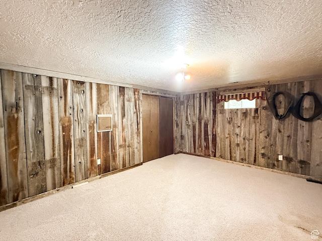 1145 E 1675 N, North Ogden, UT 84404 - below grade area featuring wooden walls, a textured ceiling, and carpet floors