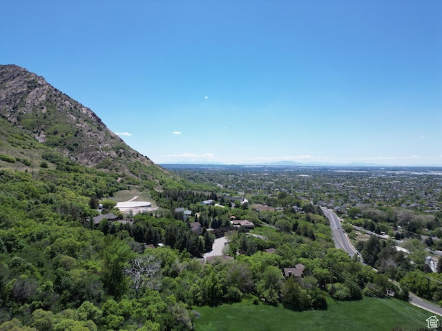 1145 E 1675 N, North Ogden, UT 84404 - bird's eye view of a forest