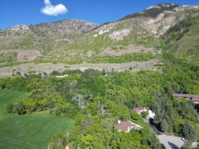 1145 E 1675 N, North Ogden, UT 84404 - view of mountain backdrop