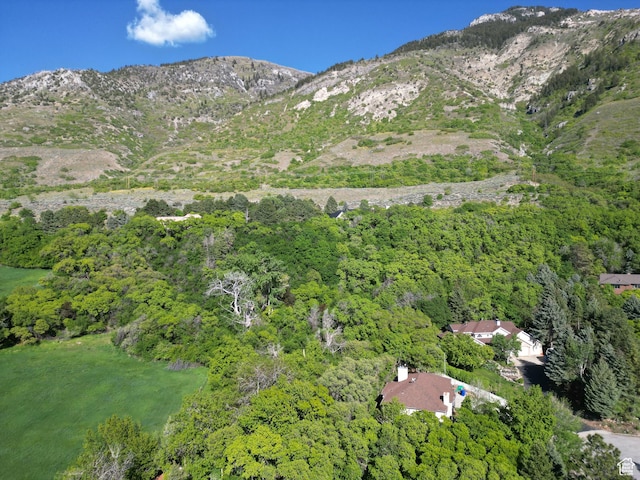 1145 E 1675 N, North Ogden, UT 84404 - view of mountain backdrop featuring a forest