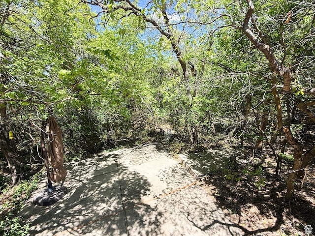 1145 E 1675 N, North Ogden, UT 84404 - view of nature