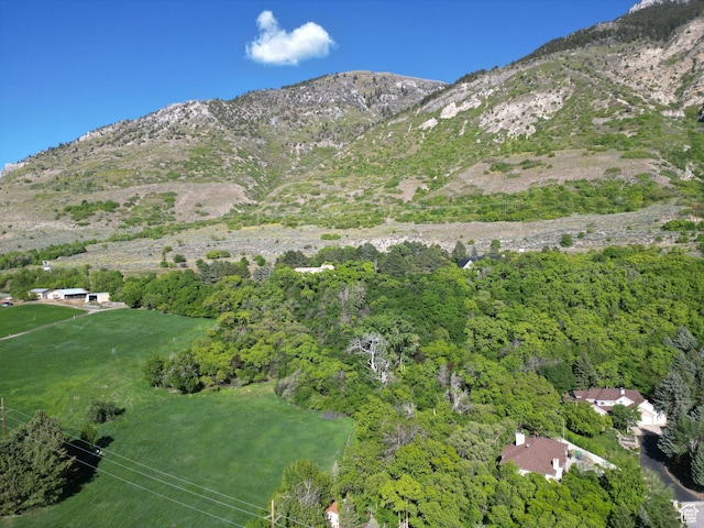 1145 E 1675 N, North Ogden, UT 84404 - view of mountain background