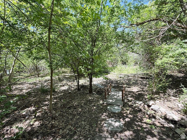 1145 E 1675 N, North Ogden, UT 84404 - view of undeveloped land