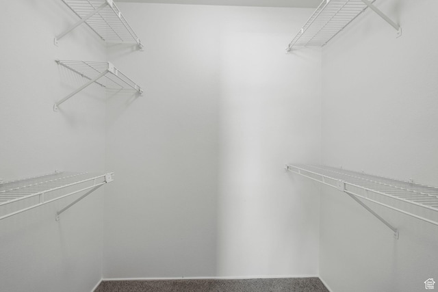 4878 S Highland Cir Unit 6, Salt Lake City, UT 84117 - spacious closet with carpet flooring