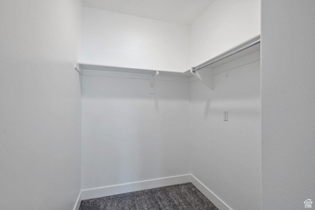 walk in closet featuring dark carpet