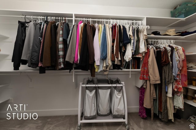 1340 S 740 E, Lehi, UT 84043 - spacious closet with carpet floors